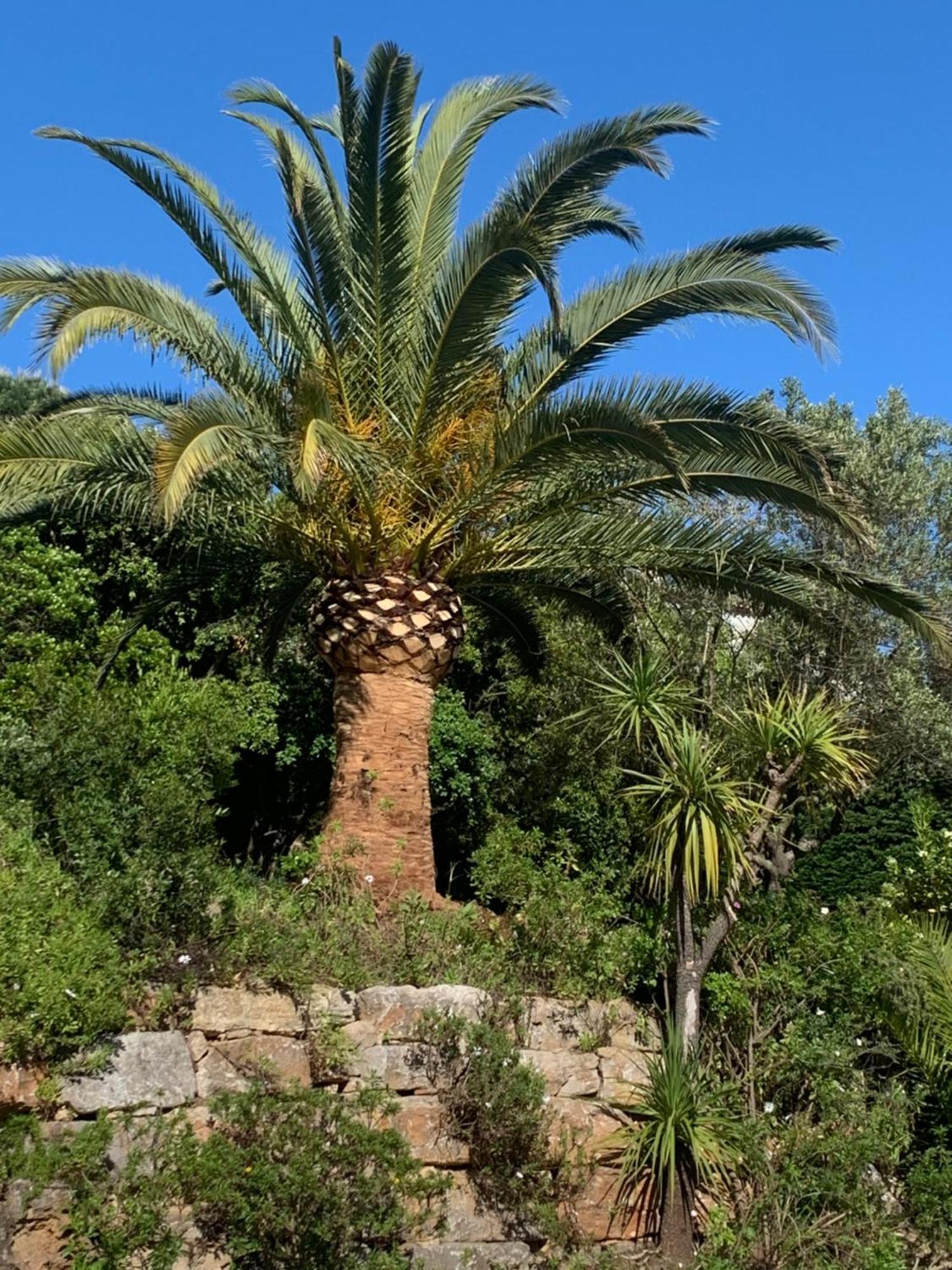 Paradis Provencal Σαιντ-Μαξίμ Εξωτερικό φωτογραφία